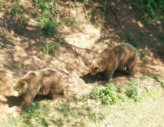 Zoo Košice